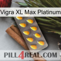 Vigra Xl Max Platinum cialis1